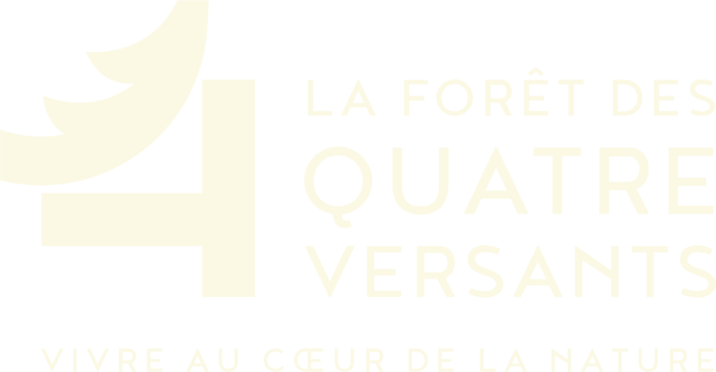 Vue panoramique de la Forêt des Quatre Versants en pleine nature.
