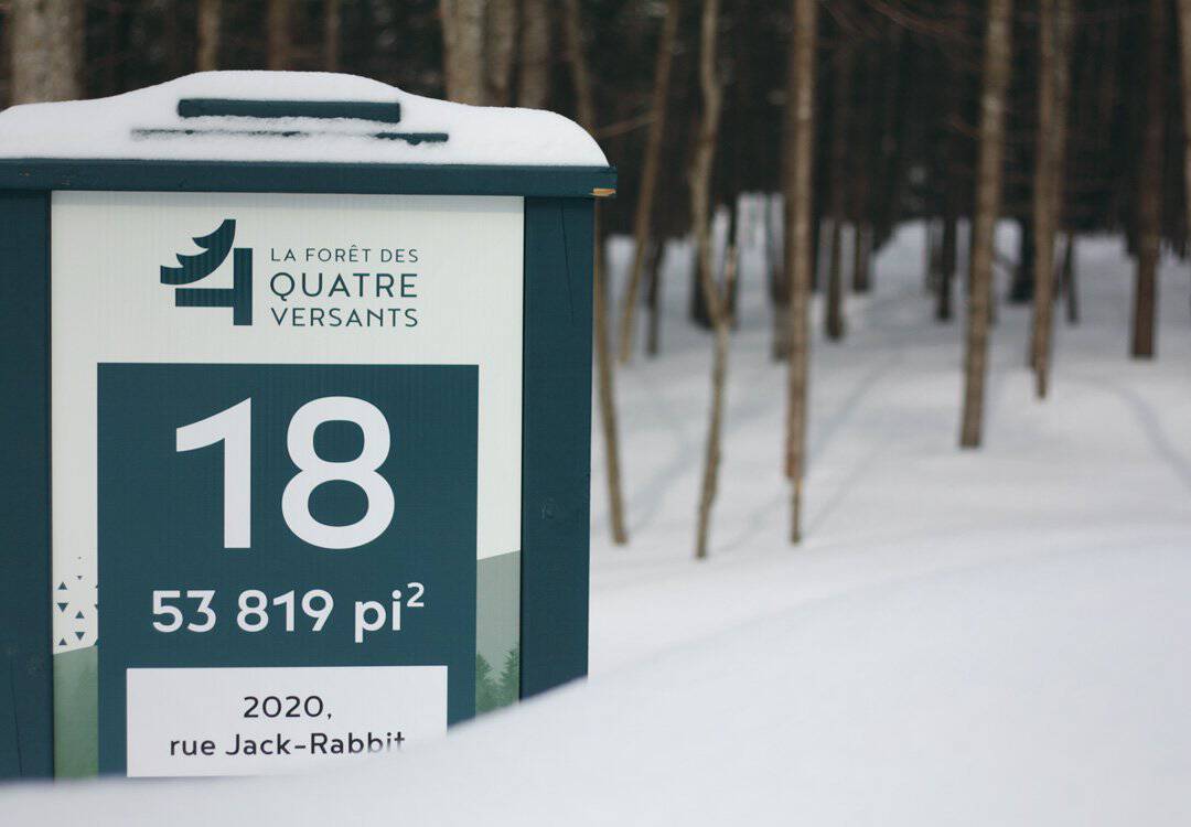 Panneau d'information de la Forêt des Quatre Versants dans un paysage enneigé.