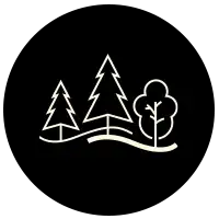 Forêt des Quatre Versants, paysages boisés avec arbres et sentiers.